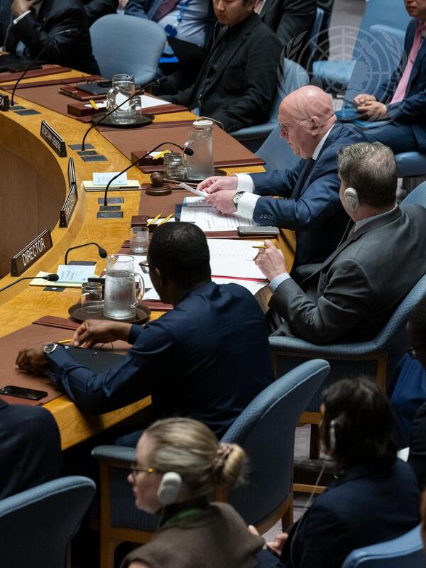 Security Council Meets On Situation In Yemen UN Photo