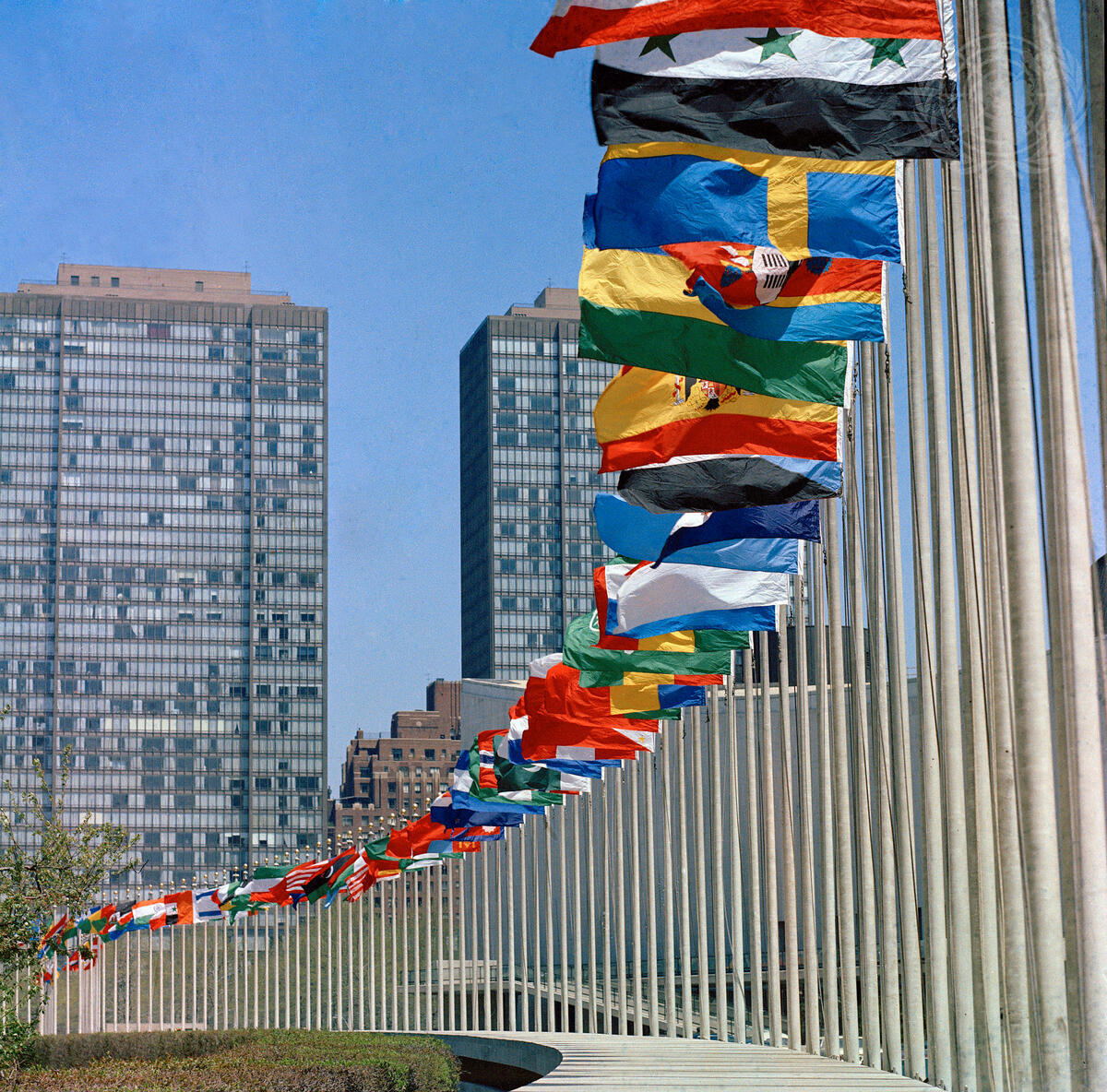 Flags Of The United Nations Member States UN Photo