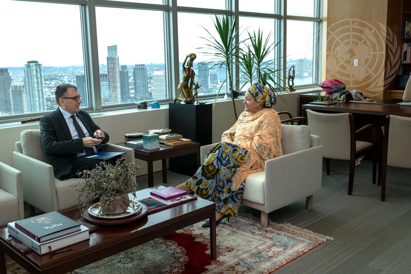 Deputy Secretary-General Meets with Permanent Representative of Azerbaijan