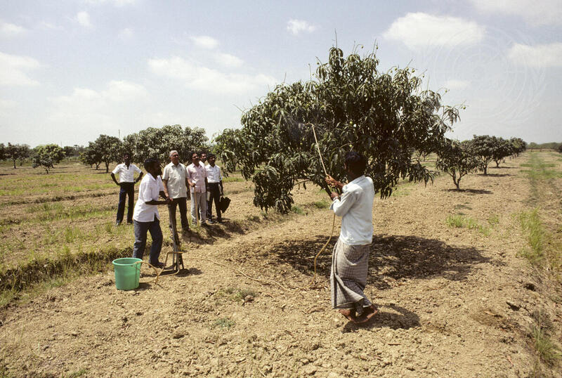 United Nations Development Programme Helps Agricultural Research Projects in Bangladesh
