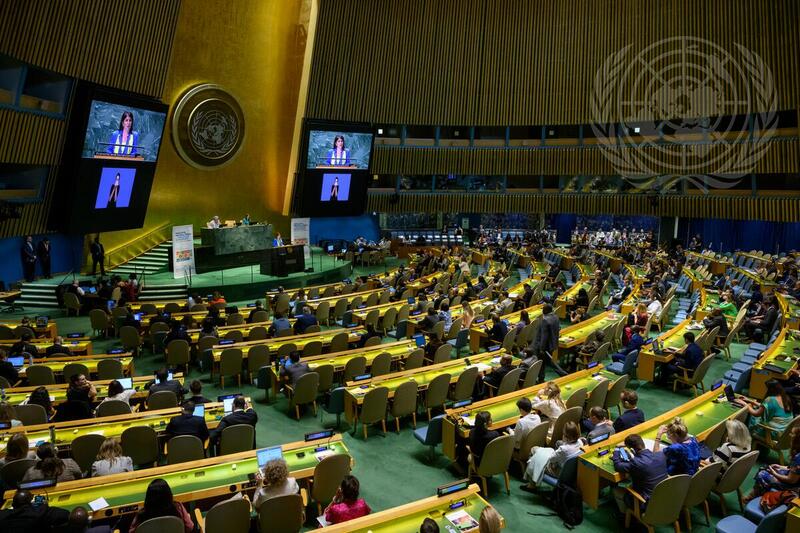 High-level Political Forum 2024 Convened under Economic and Social Council