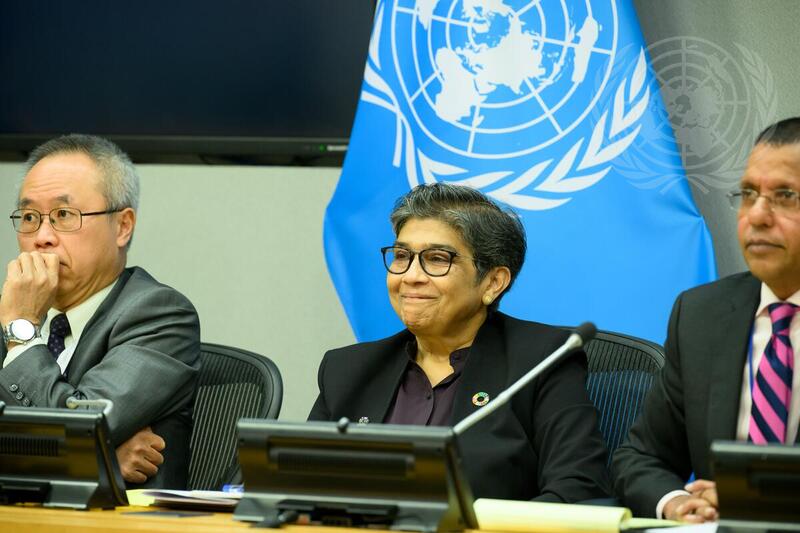 Press Briefing on 4th International Conference on Small Island Developing States Conference