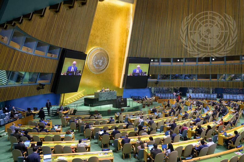 General Assembly Holds Election of Members of Economic and Social Council
