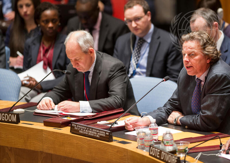 Security Council Discusses Situation in Mali