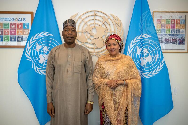 Deputy Secretary-general Meets With Governor Of Borno State Of Nigeria 