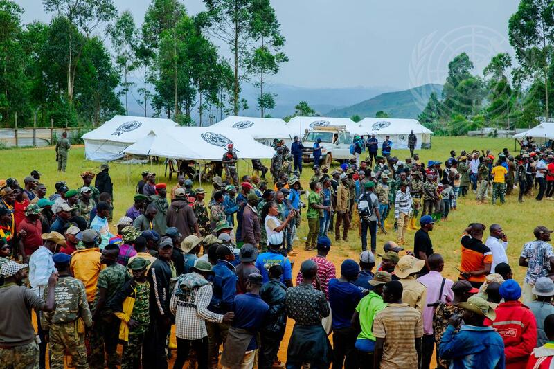 MONUSCO and Congolese Partners Enact Disarmament Programme of Militia in Ituri Province