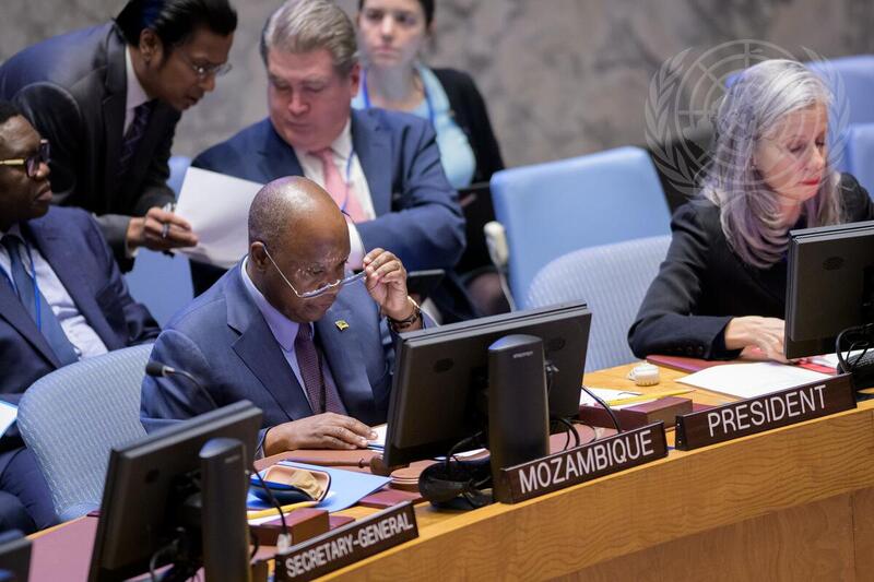 Security Council Meets on Maintenance of International Peace and Security