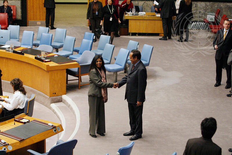 Security Council Considers Situation in Timor-Leste