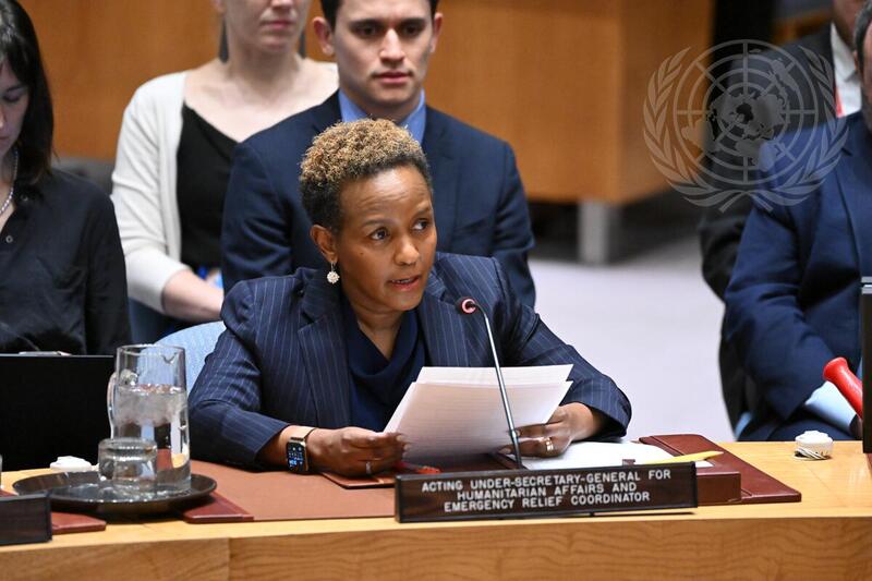 Security Council Meets on Protection of Civilians in Armed Conflict