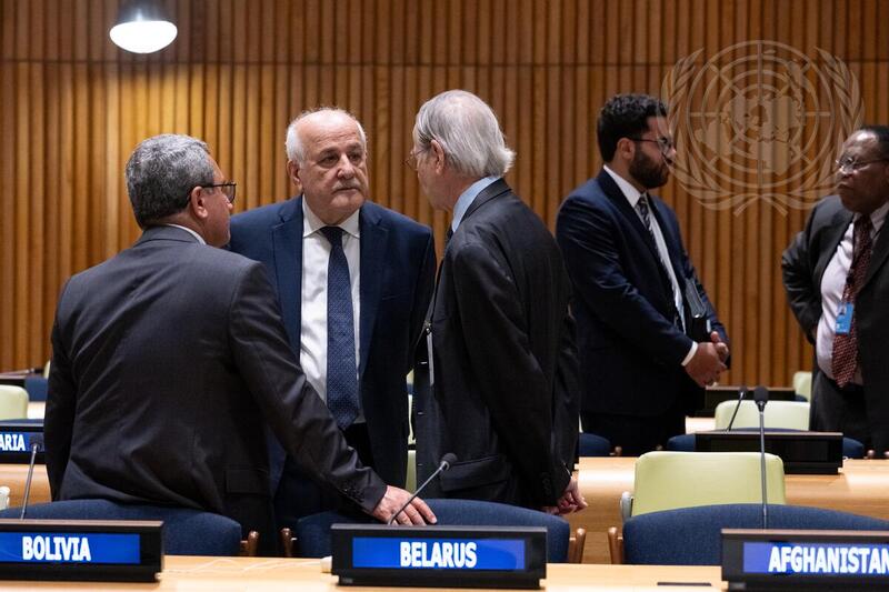 Meeting of Committee on Exercise of Inalienable Rights of Palestinian People