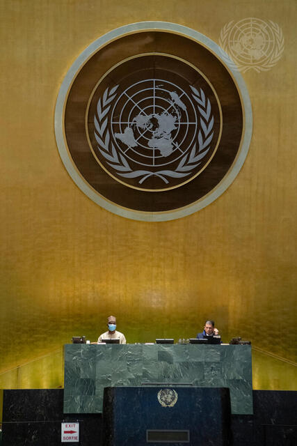 General Assembly Holds Elections for 75th President and Security Council Members