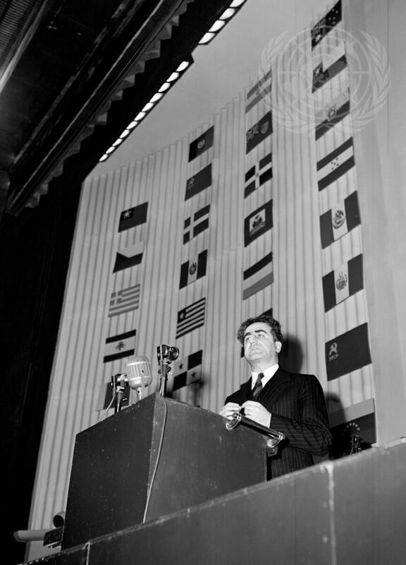 Draft of Universal Declaration of Human Rights Adopted by General Assembly
