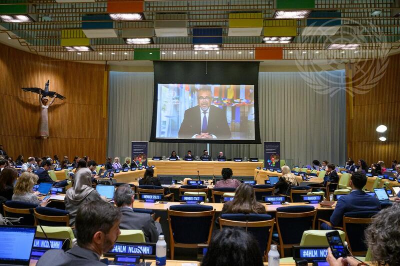 Hearing on Noncommunicable Diseases and Mental Health
