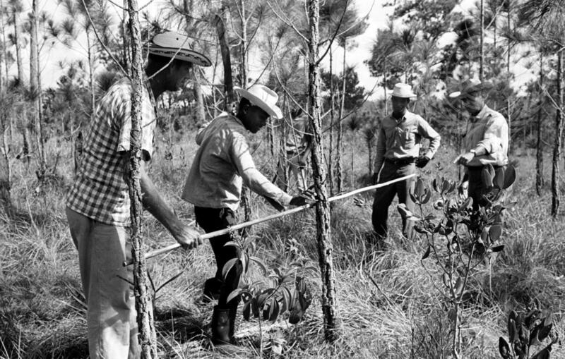 Development of Forest Resources in Nicaragua