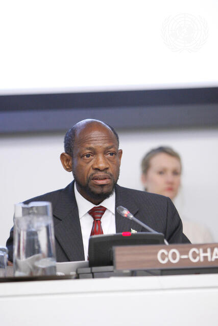 High-Level Side Event Discusses Fostering Cooperation on NCDs