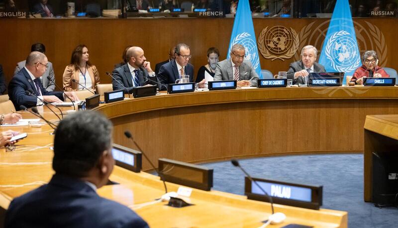 Annual Meeting of SIDS