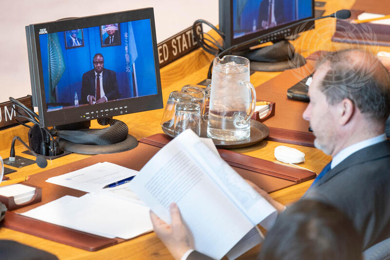 Security Council Considers Sudan and South Sudan
