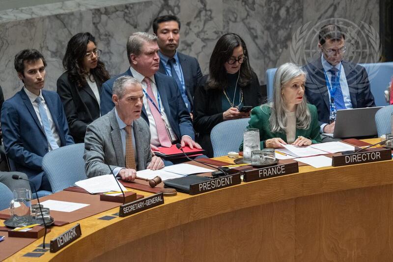 Security Council Meets on UN Verification Mission in Colombia