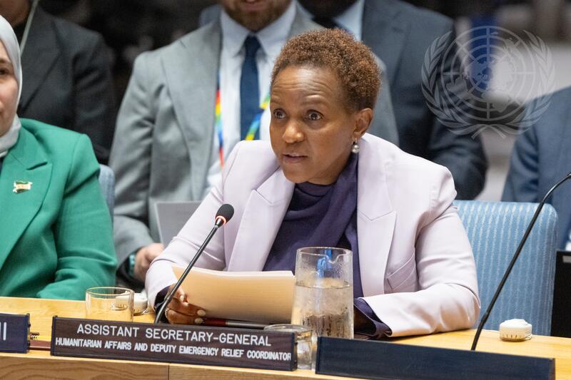 Security Council Meets on Situation in Syria