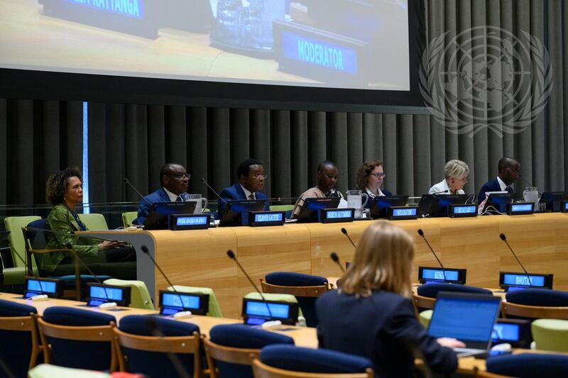 Multi-Stakeholder Dialogue on African Development