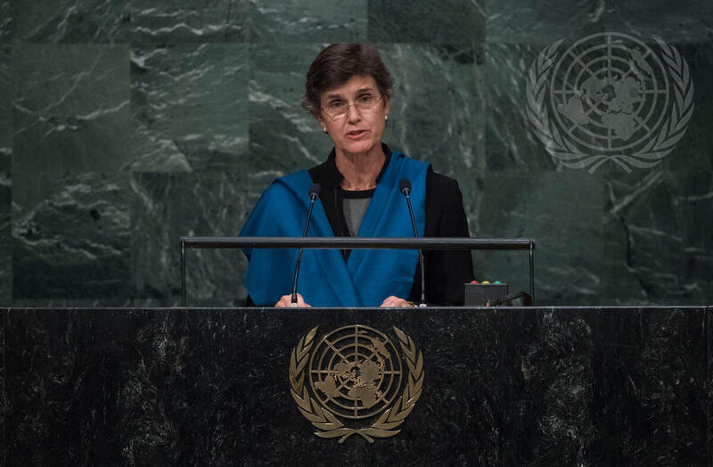 IOM Representative Addresses Summit on Sustainable Development