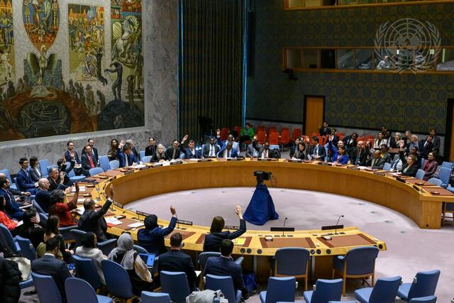 Security Council Renews Mandate of 1988 Sanctions Monitoring Team