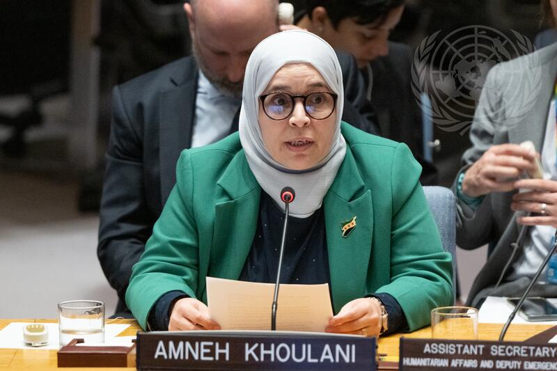 Security Council Meets on Situation in Syria
