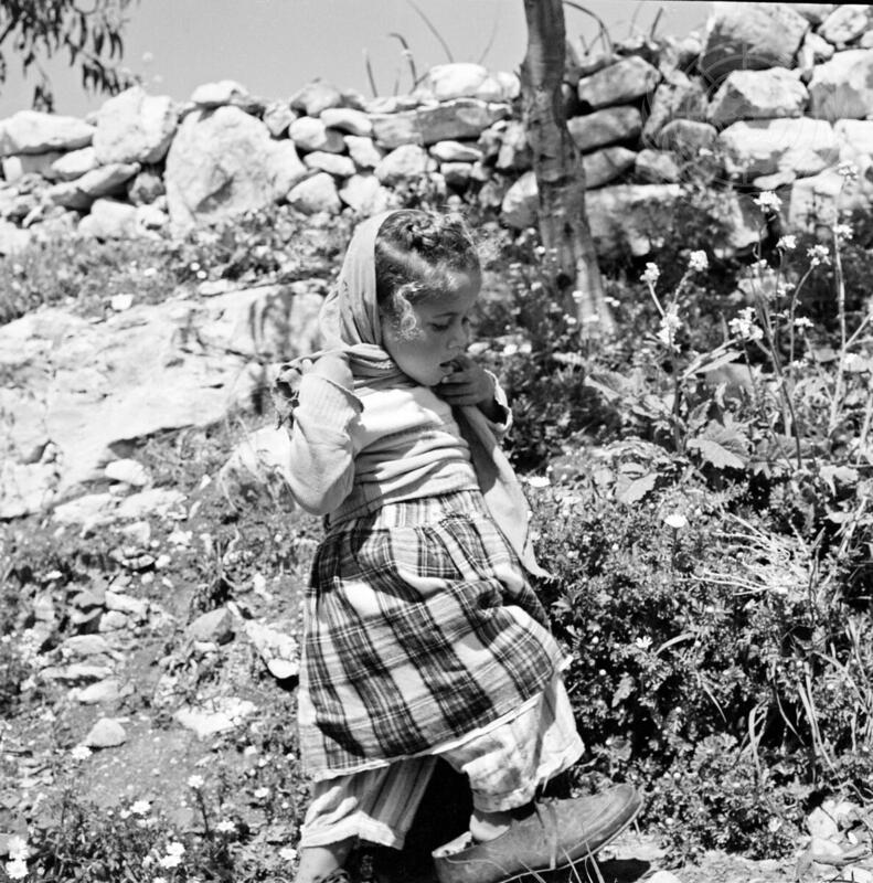 Palestine Arab Refugees