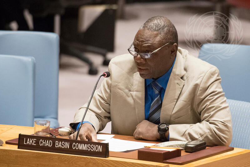 Security Council Considers Peace and Security in Africa
