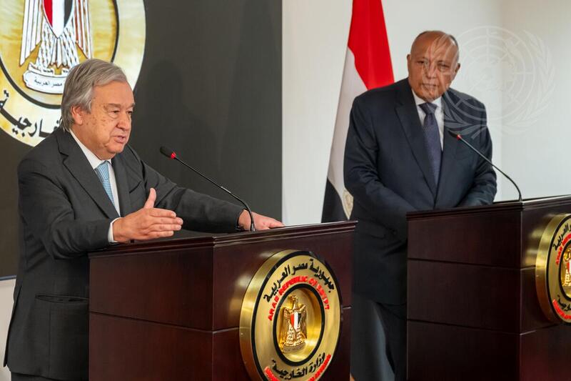 Secretary-General and Minister for Foreign Affairs of Egypt Brief Press