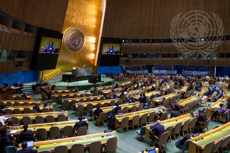 General Assembly Meets on Sustainable Development, Development in Africa, Ukraine