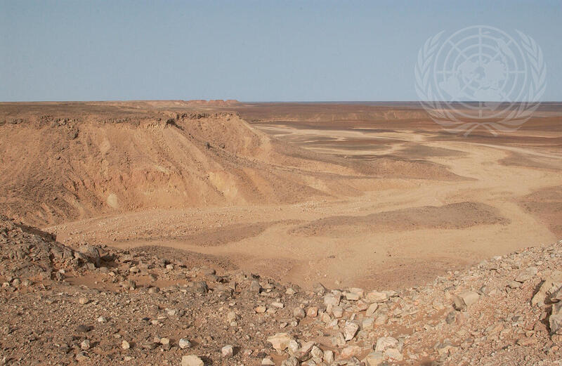 Western Sahara