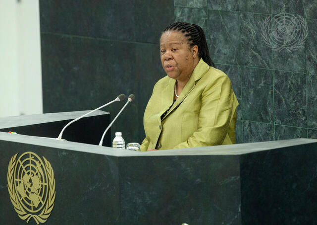 South African Minister Addresses High-Level Dialogue on Migration and Development