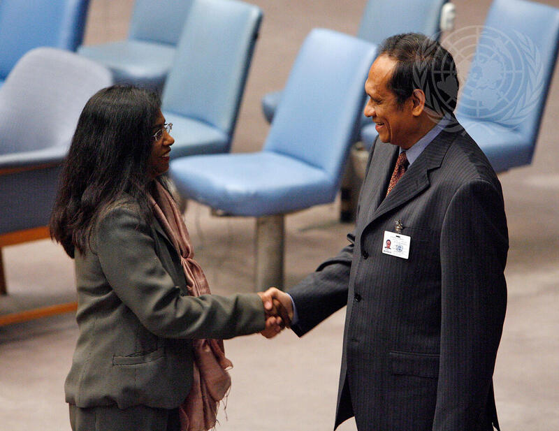 Security Council Considers Situation in Timor-Leste