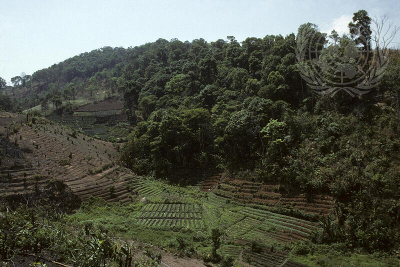 UNDP Projects in Thailand