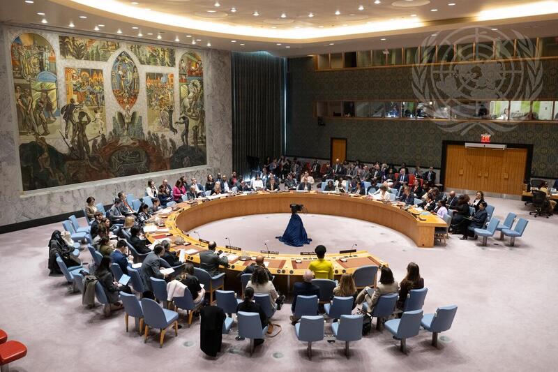 Security Council Meets on Preventing Conflict-Related Sexual Violence through Demilitarization and Gender-Responsive Arms Control