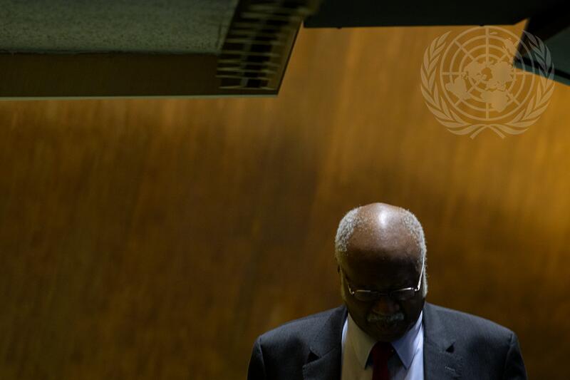 General Assembly Holds Election of Non-permanent Members of Security Council