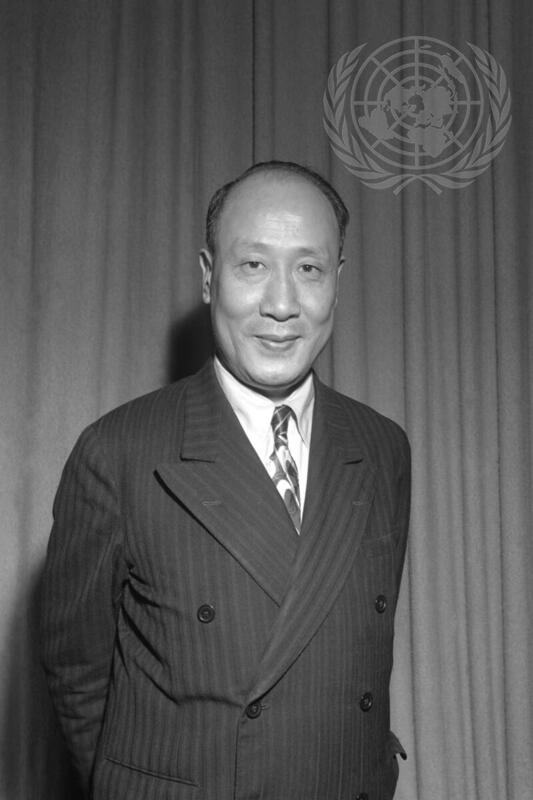 Economic and Social Council of the United Nations