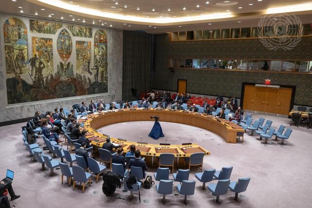Security Council Hears Briefings by Chairs of Subsidiary Bodies