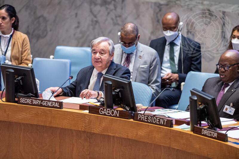 Security Council Meets on Cooperation between UN and African Union in Maintaining International Peace and Security