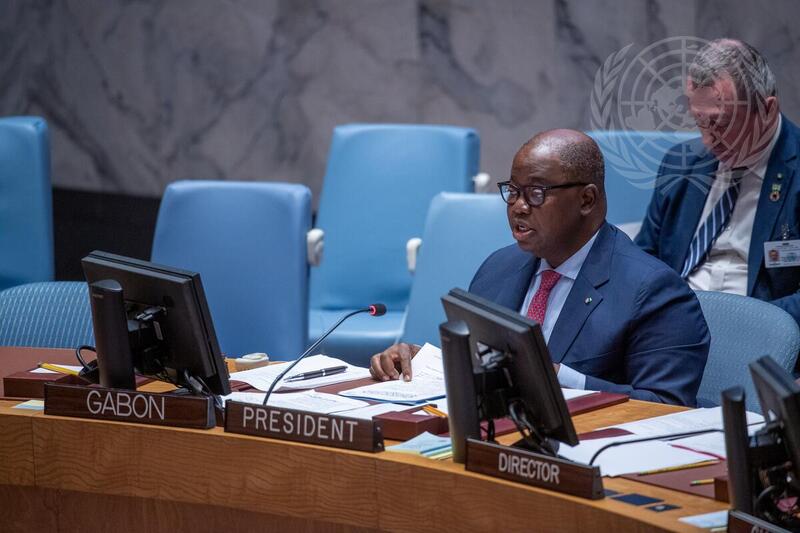 Security Council Meets on Peace and Security in Africa