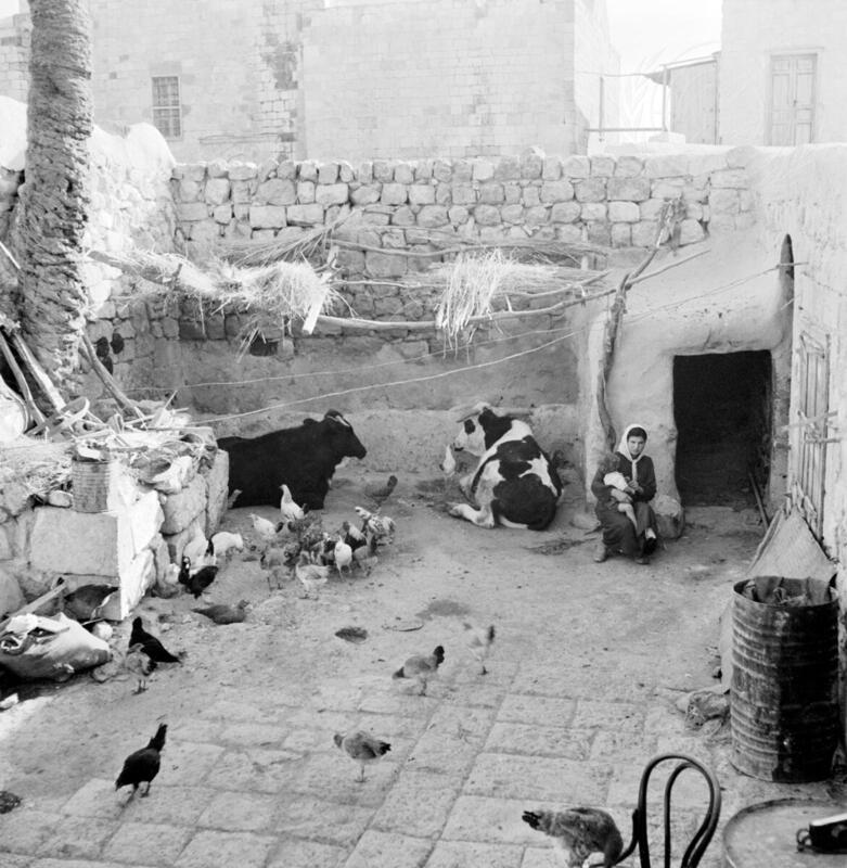 UNICEF Relief in Palestine