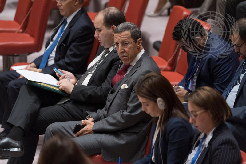 Security Council Meets on Situation Concerning Western Sahara