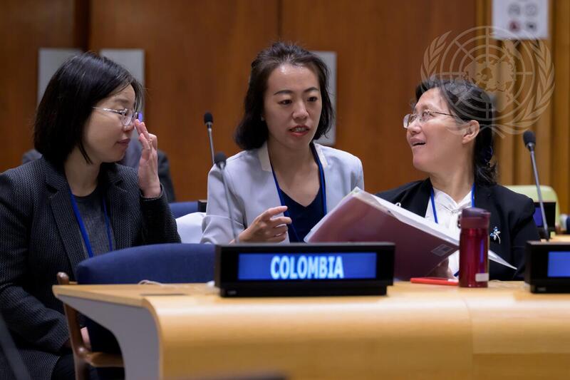 20th Session of United Nations Forum on Forests