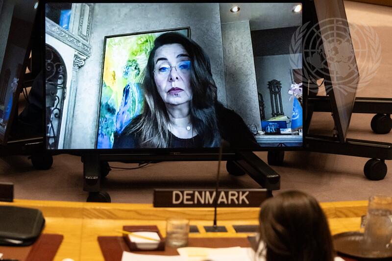 Security Council Meets on Question Concerning Haiti