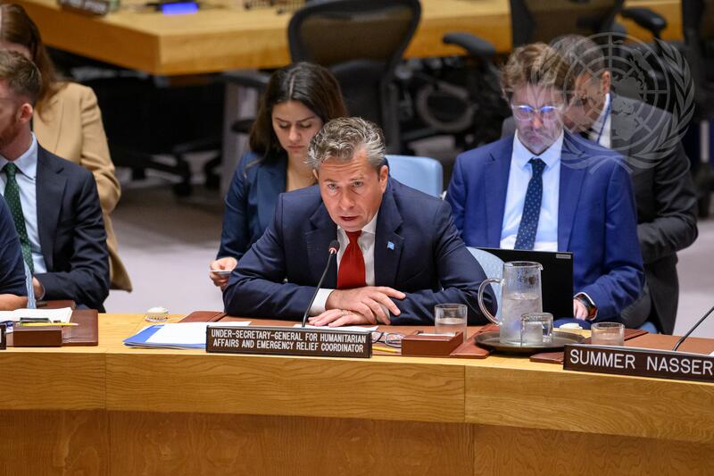 Security Council Meets on Situation in Yemen