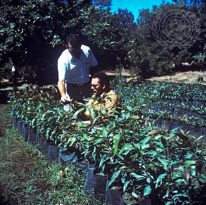 Farming for Development: Itiquis River Irrigation Project in Costa Rica