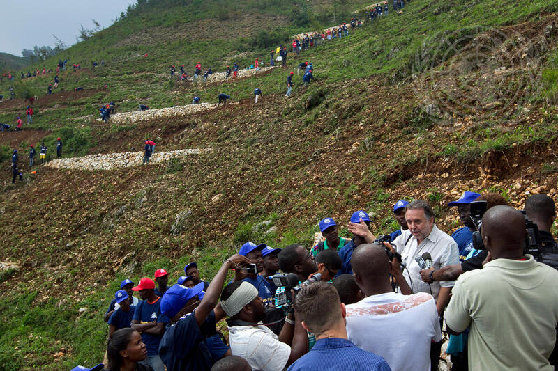 Haitians Plant and Save Land in Cash-for-Work Programme