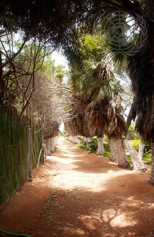 Western Sahara