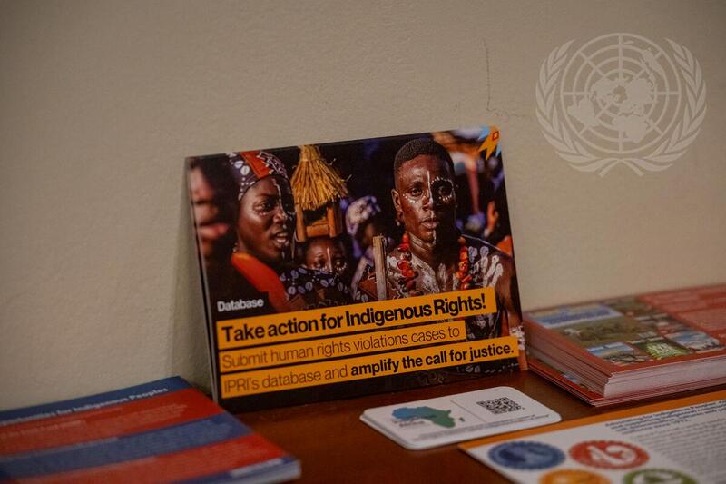 Dialogue on Financing of Indigenous Peoples' Work and Participation Across Multilateral and Regional System